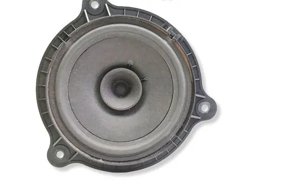 Nissan Qashqai+2 Rear door speaker 