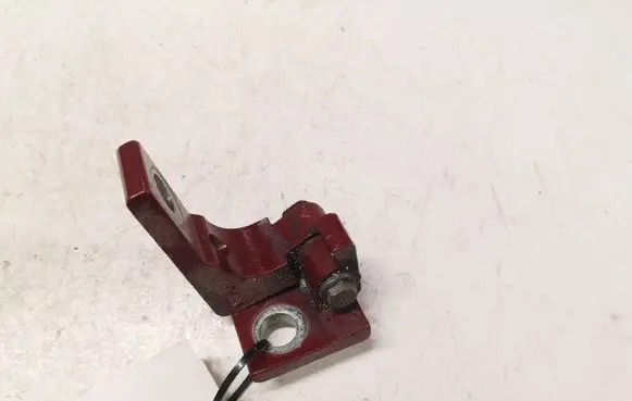 Fiat Punto (199) Rear door lower hinge