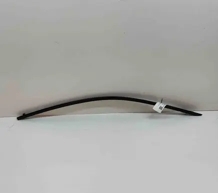 Front door glass trim molding