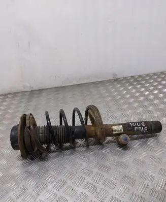 Peugeot 206 Front shock absorber with coil spring
