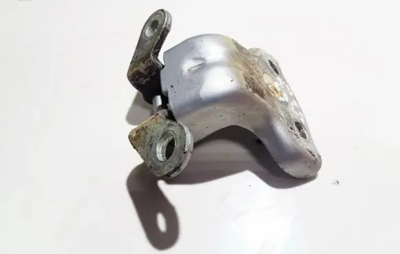 Opel Antara Rear door lower hinge