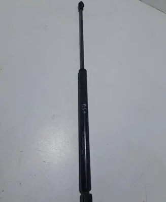 Tailgate/trunk strut/damper