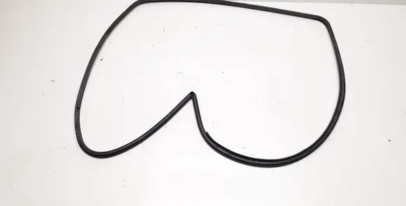 Front door rubber seal