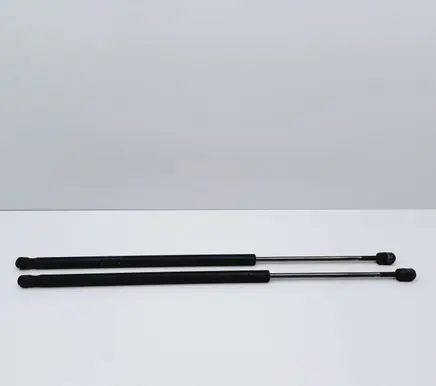 Tailgate/trunk strut/damper