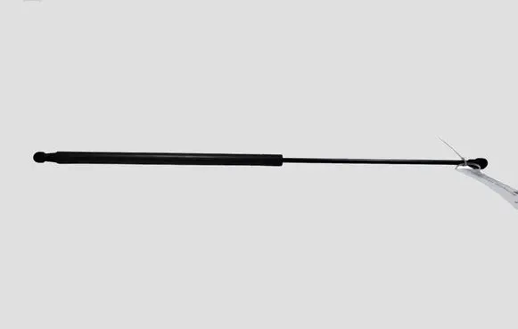 Nissan Juke I F15 Tailgate/trunk strut/damper 904511KA1A