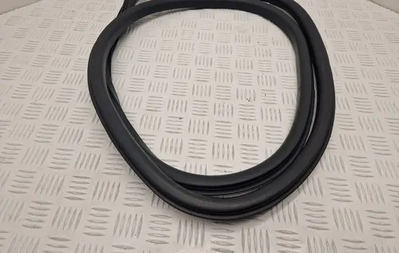 Renault Talisman Rear door rubber seal (on body) 