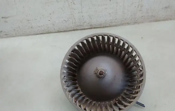 Heater fan/blower