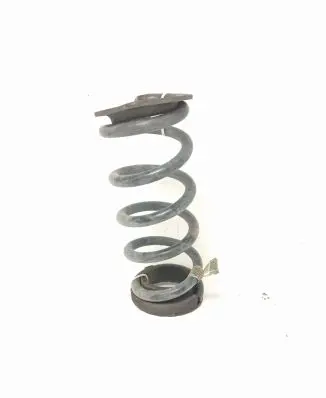 Ford Mustang VI Rear coil spring JR3C5560KA