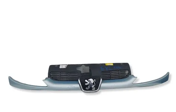 Peugeot 206 Front grill 9628691277KASACJA 9628691277