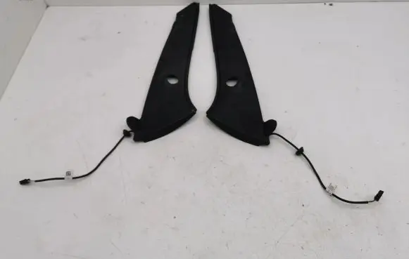 Rear/tail light trim molding