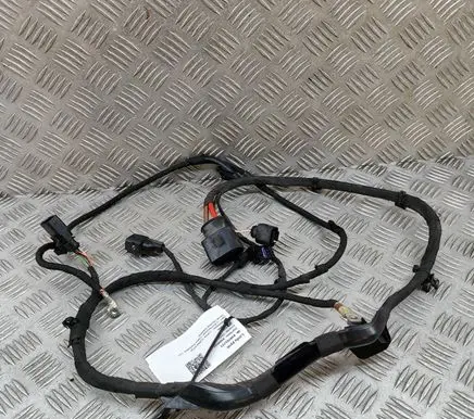 Other wiring loom