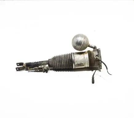 Volkswagen Phaeton Rear shock absorber/damper 3D0616001F