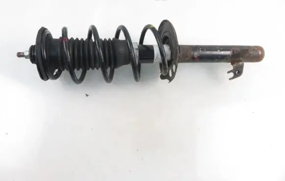 Peugeot 107 Front shock absorber with coil spring