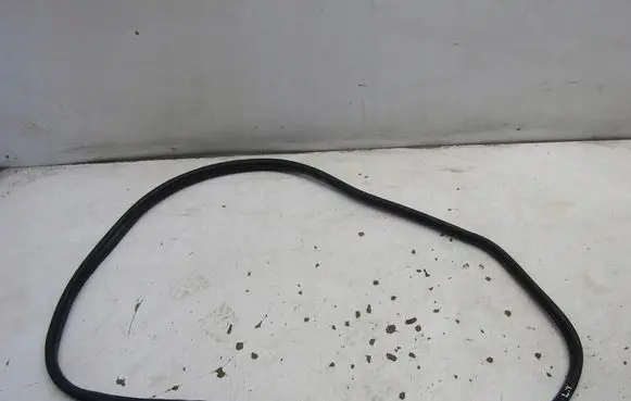 Fiat Tipo Rubber seal rear door KRIS235789