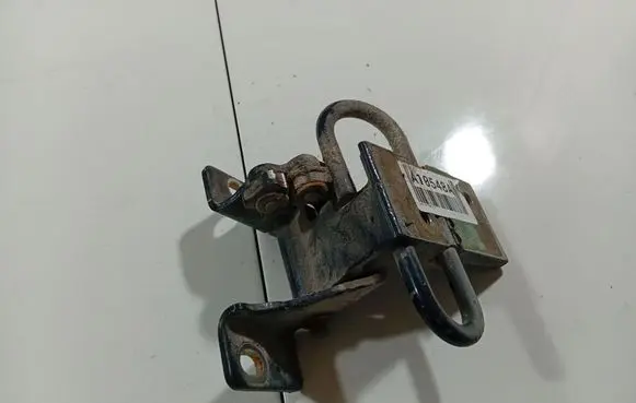 Rear door lower hinge