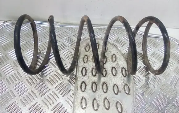 Peugeot 206 Front coil spring