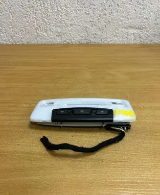 BMW 5 G30 G31 Front seat light 43794598301 F5467