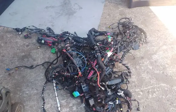 Porsche Panamera (971) Wiring harness 