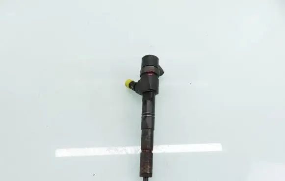 Fiat Bravo Fuel injector 0445110300