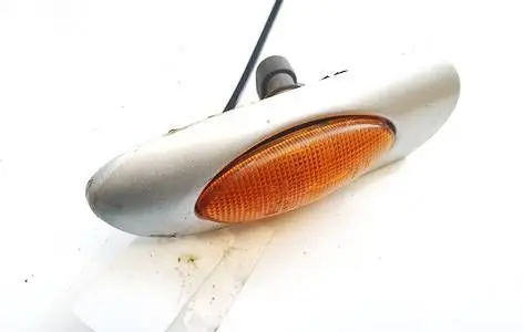 Front fender indicator light