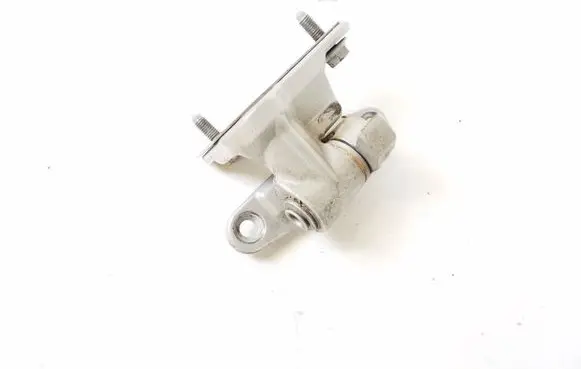 Mercedes-Benz SLK R171 Front door lower hinge A1717200337