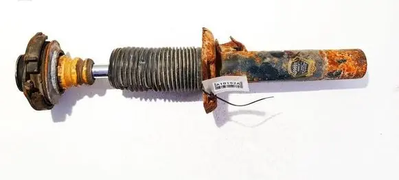 Volkswagen PASSAT B6 Front shock absorber/damper 