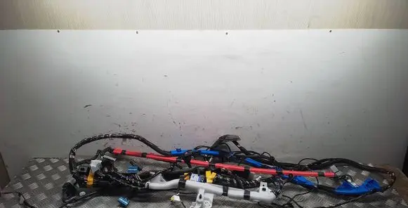 Tesla Model Y Other wiring loom 248904100B