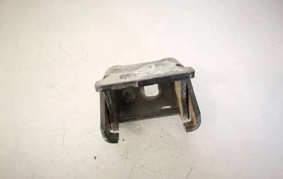 Peugeot 207 Rear door lower hinge 