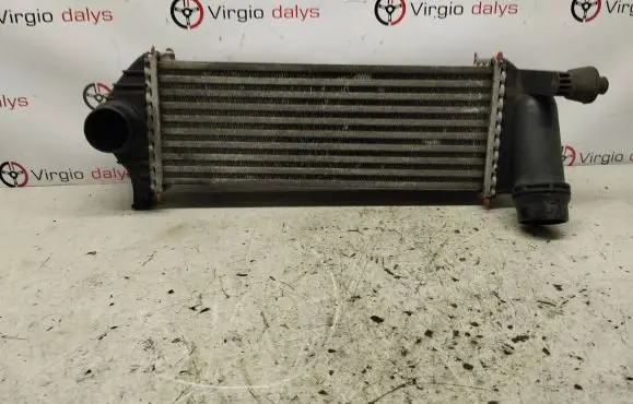 Mercedes-Benz Citan W415 Intercooler radiator 144963234R 0007584 Y5665001