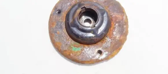 Coil spring mount