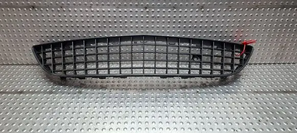 Front bumper lower grill