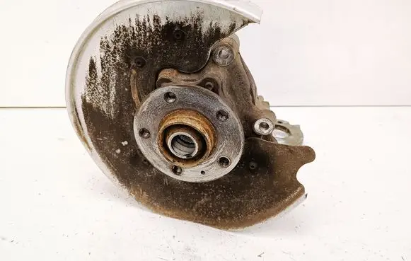 Porsche Macan (95B) Rear wheel hub 8R0505436C