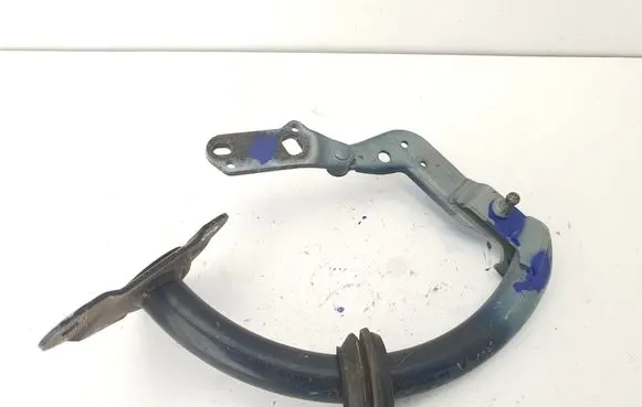 Tailgate/trunk/boot hinge