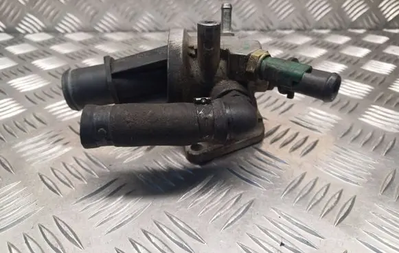 Thermostat/thermostat housing
