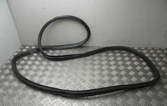 Tesla Model Y Rubber seal rear door 621
