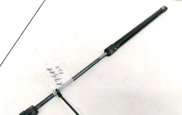 Dodge Caliber Tailgate/trunk strut/damper