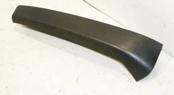 Rear/tail light trim molding