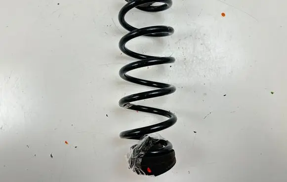 Rear coil spring