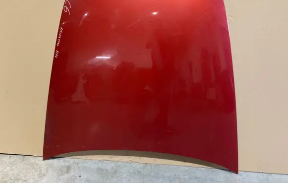 Engine bonnet/hood