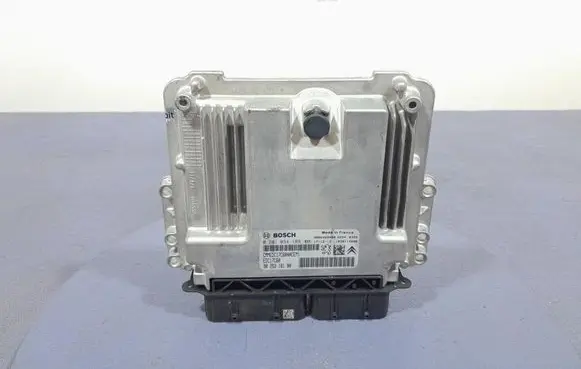 Peugeot Partner Other control units/modules 9825318180