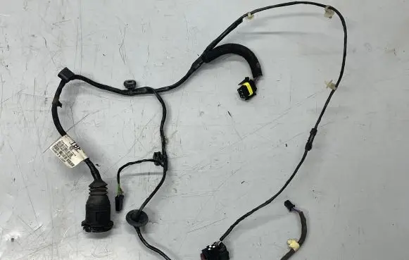 Front door wiring loom