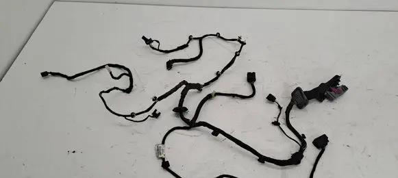Front door wiring loom