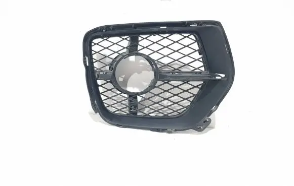 BMW X6 E71 Front grill 51117181010