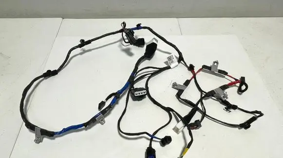 KIA EV6 Tailgate/trunk wiring harness 91655CV180 36659