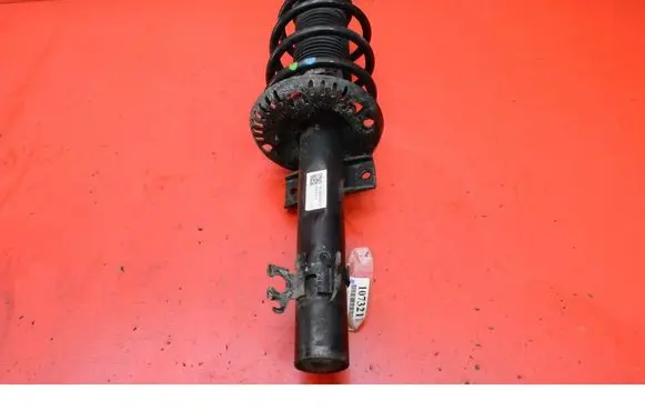 Seat Ibiza IV (6J,6P) Front shock absorber/damper 6R0413031F