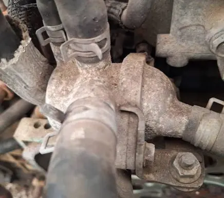 Subaru Outback Engine coolant pipe/hose