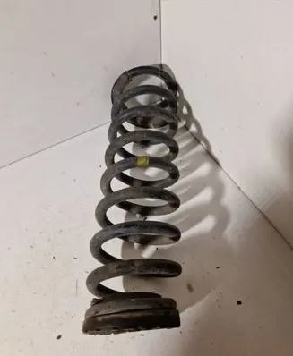 Rear coil spring