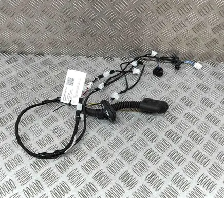 Rear door wiring loom