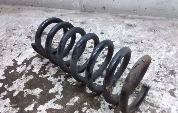 Opel Antara Rear coil spring 