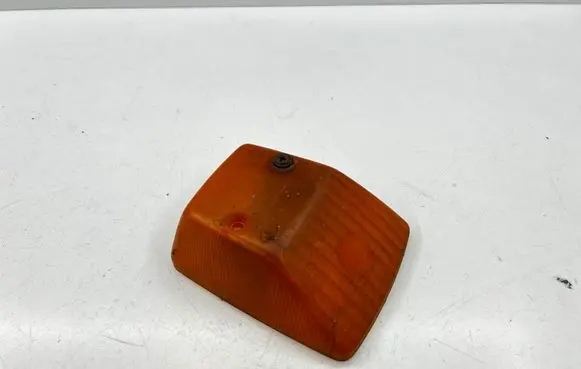 Mercedes-Benz G W460 Front fender indicator light 32795 6025